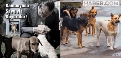 Erdal Beşikçioğlu Çocuğu Isıran Köpeğin Salınacağını Duyurdu! Tepkiler Çığ Gibi Büyüdü