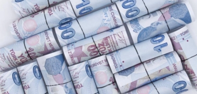 Evde Bakım Maaşı, SED Yardımı, Engelli Aylığı Ne Zaman, Ne Kadar Yatırılacak?