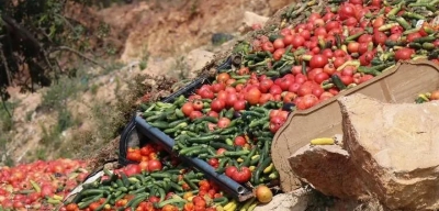 Fiyat Artırmak İçin Sebze ve Meyveler Çöpe Atılıyor! 2025 Yılından İtibaren Cezası 177 Bin Lira Olacak