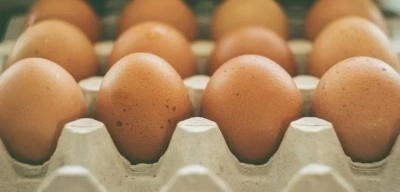 Günde Bir Yumurta Yemek O Hastalıktan Uzak Tutuyor! Zehir Gibi Hafızanın Sırrı Onda
