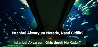 İstanbul Akvaryum Nerede? Giriş Ücreti Ne Kadar?