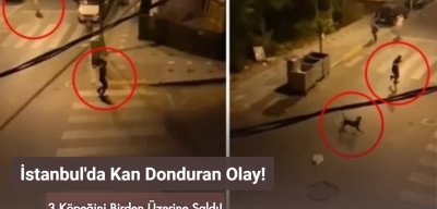 İstanbul Esenyurt'ta Skandal Olay: 3 Köpeğini Bir Adama Saldırttı!