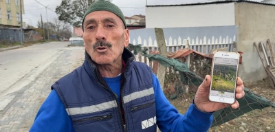 İstanbul'da hırsızların yeni hedefi: Yılbaşı hindileri çalındı!