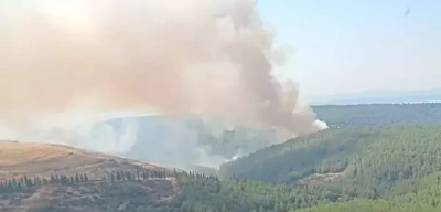 İzmir, Manisa ve Çanakkale'de Orman Yangını! 3 Kişi Hayatını Kaybetti