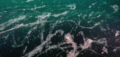 Marmara Denizi'nde Müsilaj Kabusu Geri Döndü
