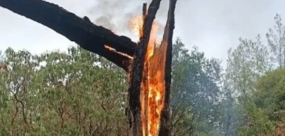 Muğla'da 5 günde 50 yıldırım yangını
