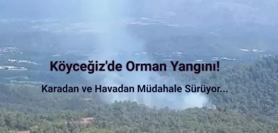 Muğla'nın Köyceğiz İlçesinde Orman Yangını Çıktı!