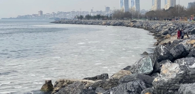 Pendik'te Korkunç Olay: 79 Yaşındaki Kadın Denize Atladı! İntihar Şüphesi Araştırılıyor