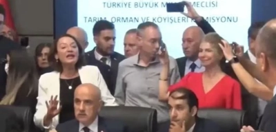 Sokak Hayvanları ile İlgili Kanunun İlk 7 Maddesi Komisyondan Geçti! Ötenazi Tekliften Çıktı!
