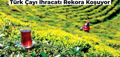 Türk Çayı İhracat Rekoruna Koşuyor! İşte Çayın İhracatta Dudak Uçuklatan Dolar Cinsinden Getirisi!