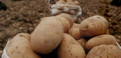 Seyyar Satıcının Oyununu Müşteri Bozdu! 21 Kiloluk Patates 10 Kilo Çıktı