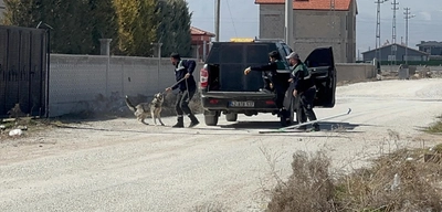Konya'da 2 Yaşındaki Rana'yı Hayattan Koparmışlardı: Karatay Belediyesi Başıboş Köpekleri Toplatmaya Başladı