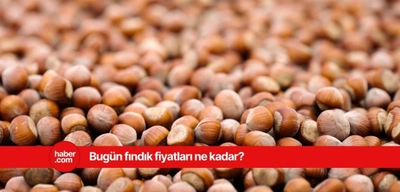 12 Mart 2025 Çarşamba fındık fiyatları ne kadar? İl il fındık fiyatları