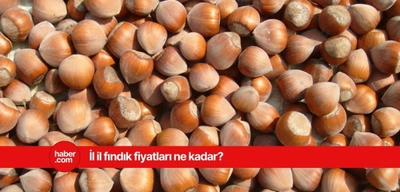 13 Mart 2025 Perşembe fındık fiyatları ne kadar? İl il fındık fiyatları