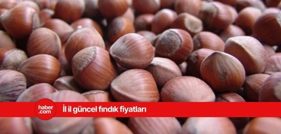 18 Mart 2025 Salı fındık fiyatları ne kadar? İl il fındık fiyatları