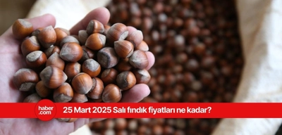 25 Mart 2025 Salı fındık fiyatları ne kadar? İl il güncel fındık fiyatları
