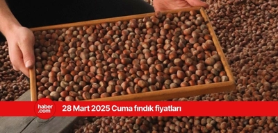 28 Mart 2025 Cuma fındık fiyatları ne kadar? Bugün fındık fiyatları ne kadar?