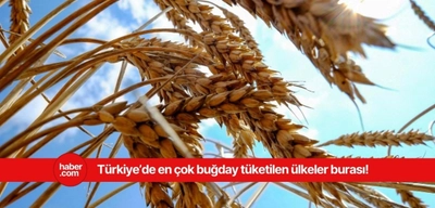 En çok buğday tüketen ülkeler açıklandı! Bakın Türkiye kaçıncı sırada yer alıyor