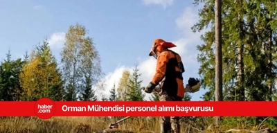 2025 OGM Orman Mühendisi alımı başvurusu!