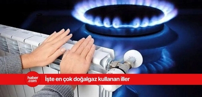 En çok doğalgaz tüketen iller açıklandı! İşte listenin başındaki o il