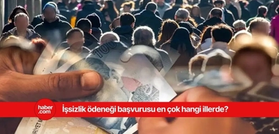 İşsizlik ödeneğinden en çok bu iller yararlanıyor!
