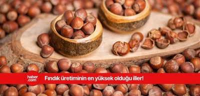 Türkiye'nin en çok fındık üreten illeri açıklandı! İşte o iller