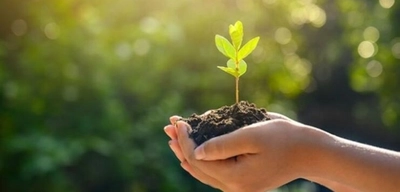 81 İlde 81 Orman Projesi Başladı