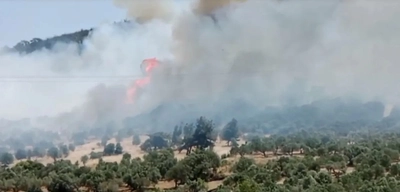 İzmir Foça'da Orman Yangını