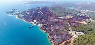 Muğla'da Orman Yangınlarını Önlemek için Yeni Tedbirler