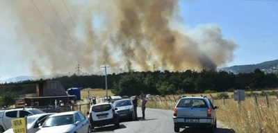 İzmir'de Orman Yangınına Havadan ve Karadan Müdahale