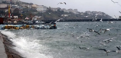 Yağışlı ve Serin Hava Geliyor