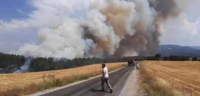 Türkiye'nin Dört Bir Yanında Orman Yangınlarıyla Mücadele: İşte 5 İlde Son Durum