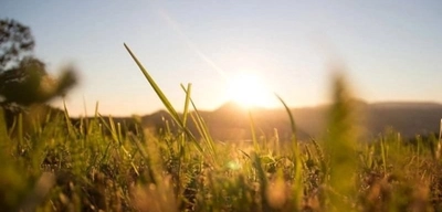 Yeni Bir Sıcak Hava Dalgası Geliyor