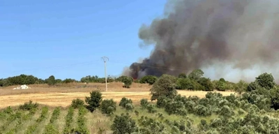 Çanakkale'de Yangın Ormana Sıçradı