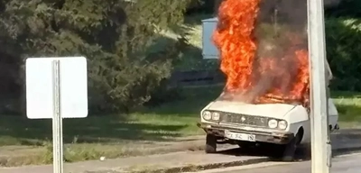 TBMM Önünde Toros Yakan Şüpheli Tutuklandı!