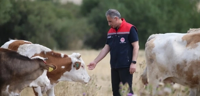 Kars'ta Şap Hastalığı Kontrol Altına Alındı