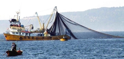 Karadenizli Balıkçılar Av Sezonuna Umutla Başladı