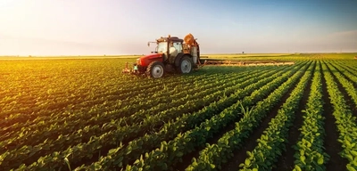 Çiftçilerin Destek Ödemeleri Yatırılıyor