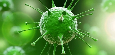 Nipah Virüsü Alarmı: "Türkiye İçin Risk Var mı?" Uzman İsimden Kritik Uyarılar