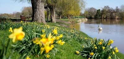Yeni Haftada Güneş Yüzünü Gösterecek