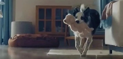 Bosch'un "Anneler Günü" Reklamı Yayından Kaldırıldı!
