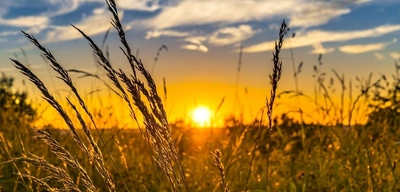 Türkiye'de 2026 Yazında "Süper El Nino" Alarmı!
