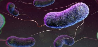 İklim Değişikliğinin Deniz Ürünleri ve Suyun Üzerindeki Etkisi