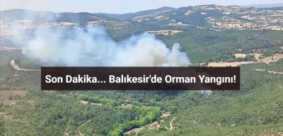 Balıkesir'de Ormanlık Alanda Yangın! İşte Son Durum
