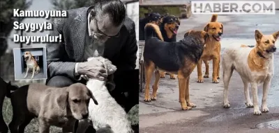 Erdal Beşikçioğlu Çocuğu Isıran Köpeğin Salınacağını Duyurdu! Tepkiler Çığ Gibi Büyüdü