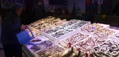 Karadeniz’de Hamsi Bolluğu: Tezgahlar Doldu