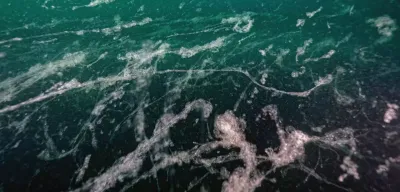 Marmara Denizi'nde Müsilaj Kabusu Geri Döndü