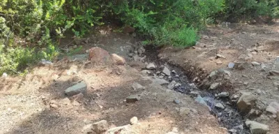 Muğla'da Ormana Terk Edilmiş Bebek Bulundu