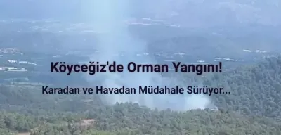 Muğla'nın Köyceğiz İlçesinde Orman Yangını Çıktı!