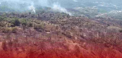 Orman Yangınlarından Etkilenen Tam 441 Kişiye Psikososyal Destek Verilecek!